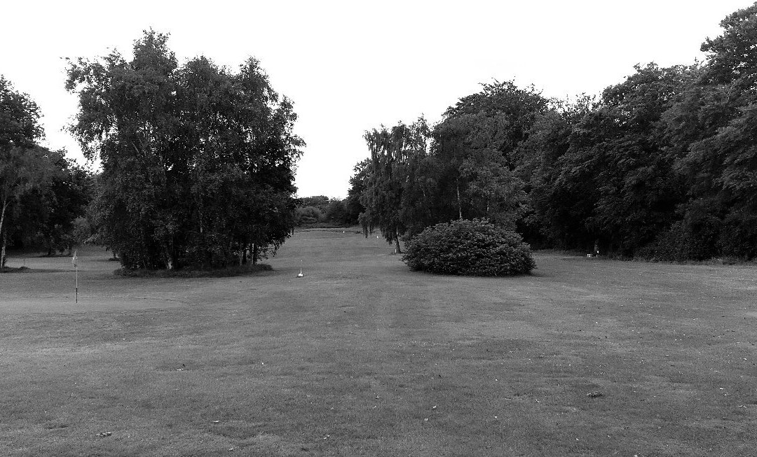 Jamestown Par 3 Golf Course-Stepaside必去景点