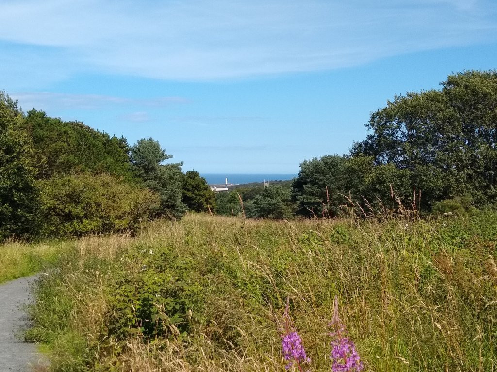 Kincorth Hill Nature Reserve景点图片