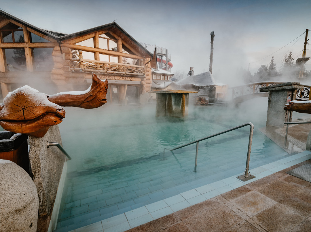 Bialy Dunajec旅游景点-Termy Gorący Potok