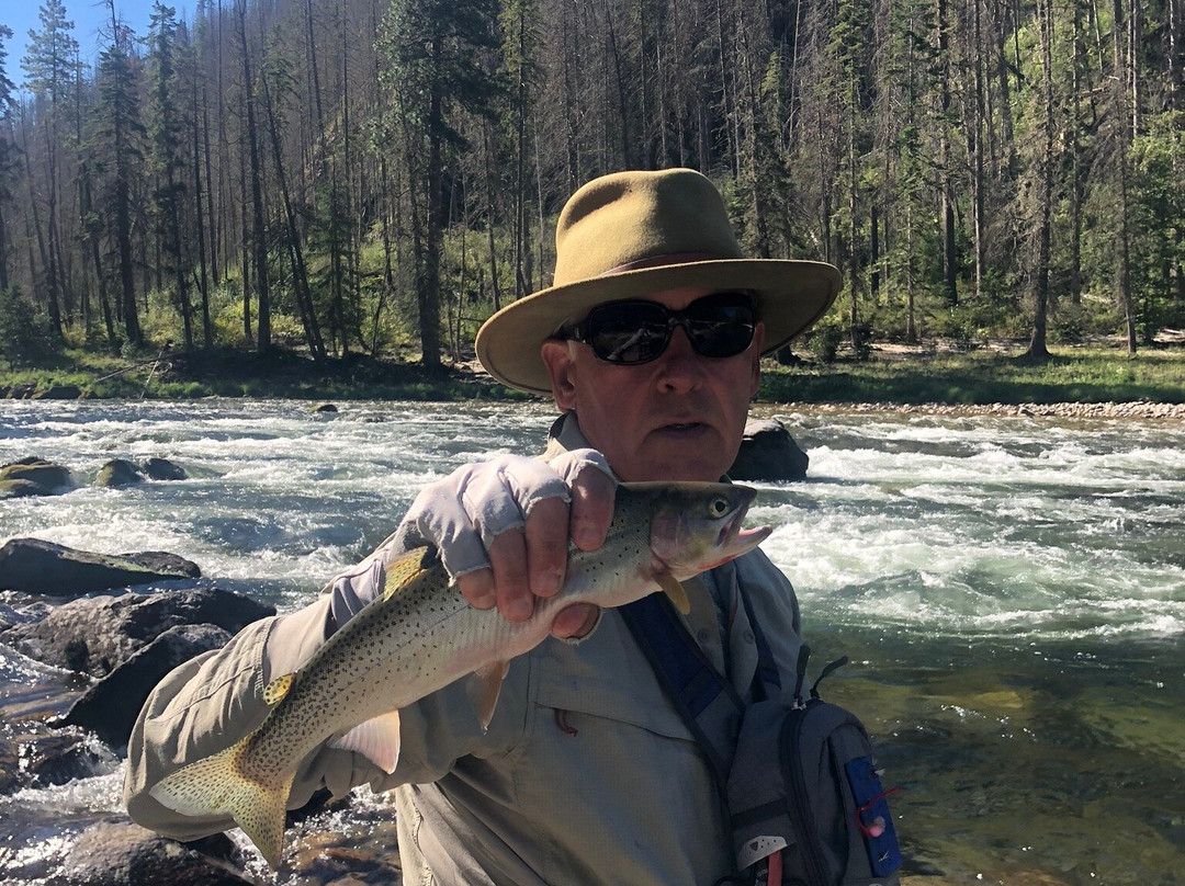 Selway Falls-Kooskia必去景点