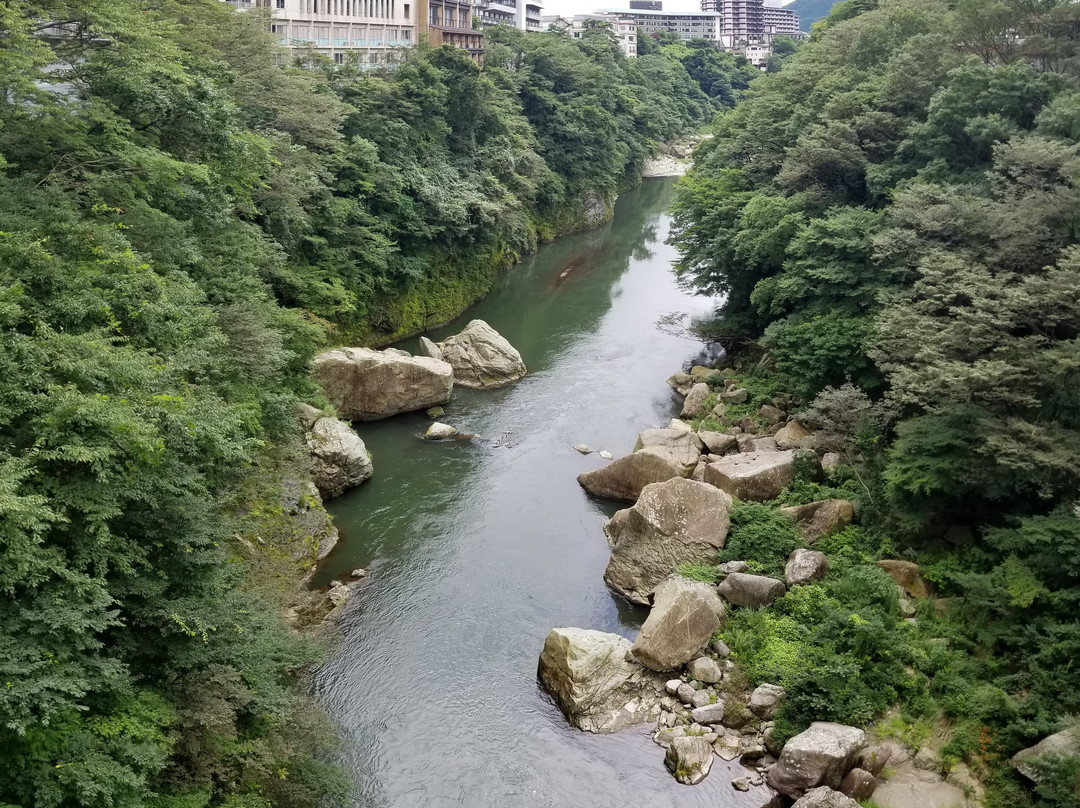 Kinugawa Onsen Fureai Bridge景点图片
