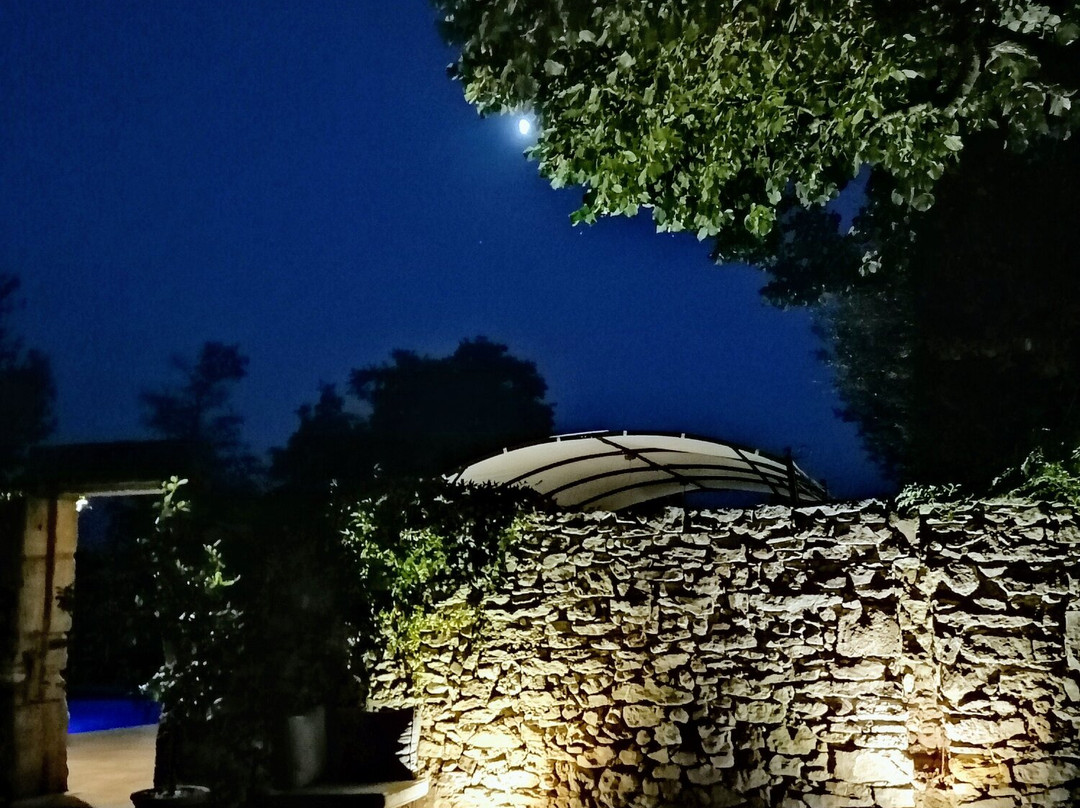 Mas d'Augustine主图