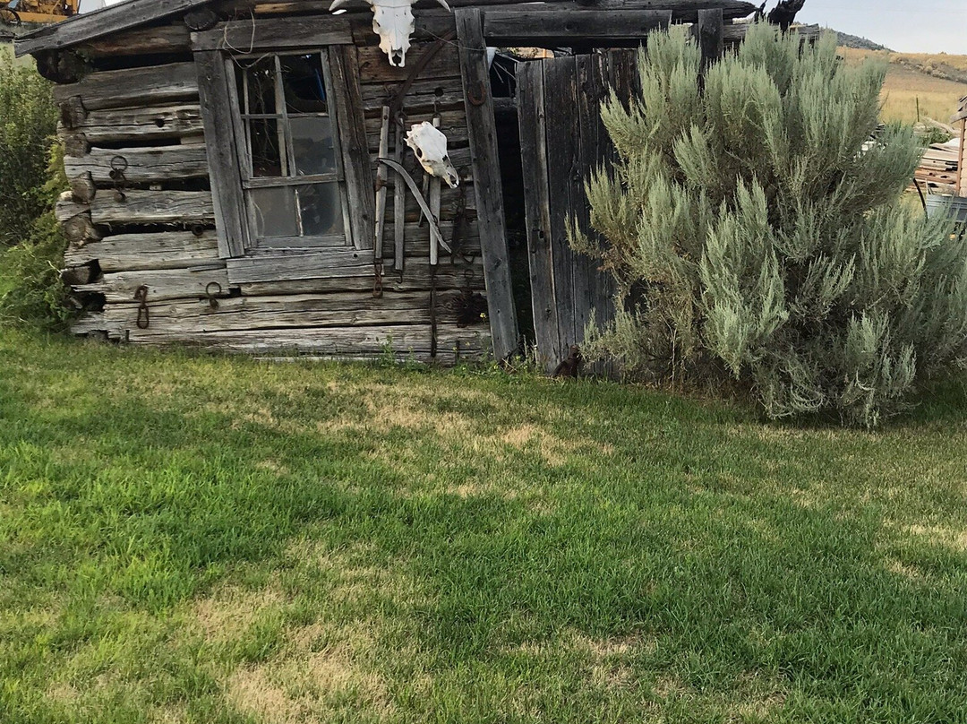 Just An Experience Bed and Breakfast主图