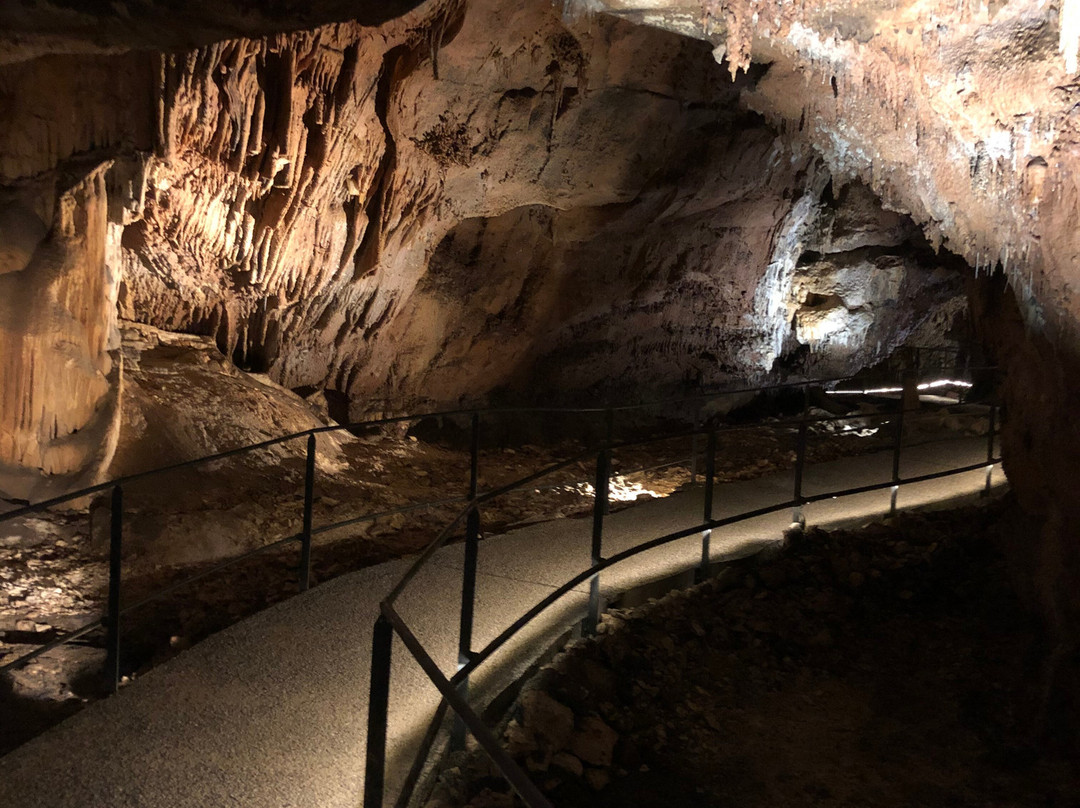 Grotte des Carbonnieres景点图片