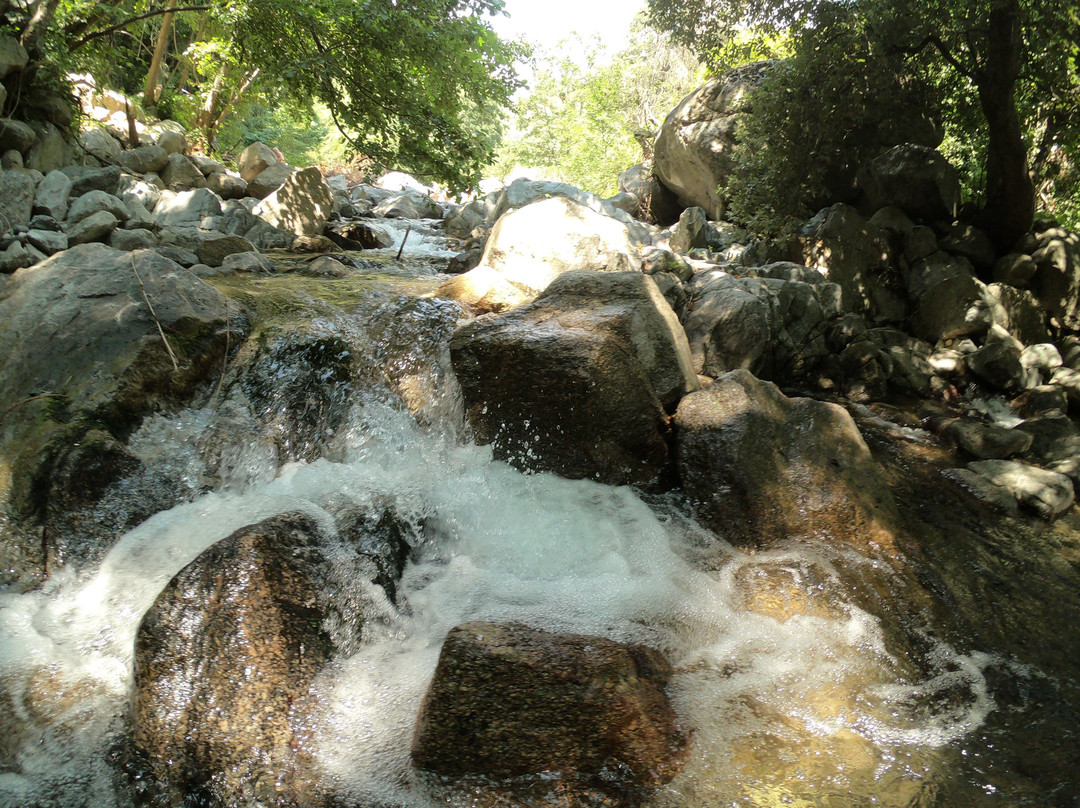 Parco Fluviale del Vergari-Mesoraca必去景点