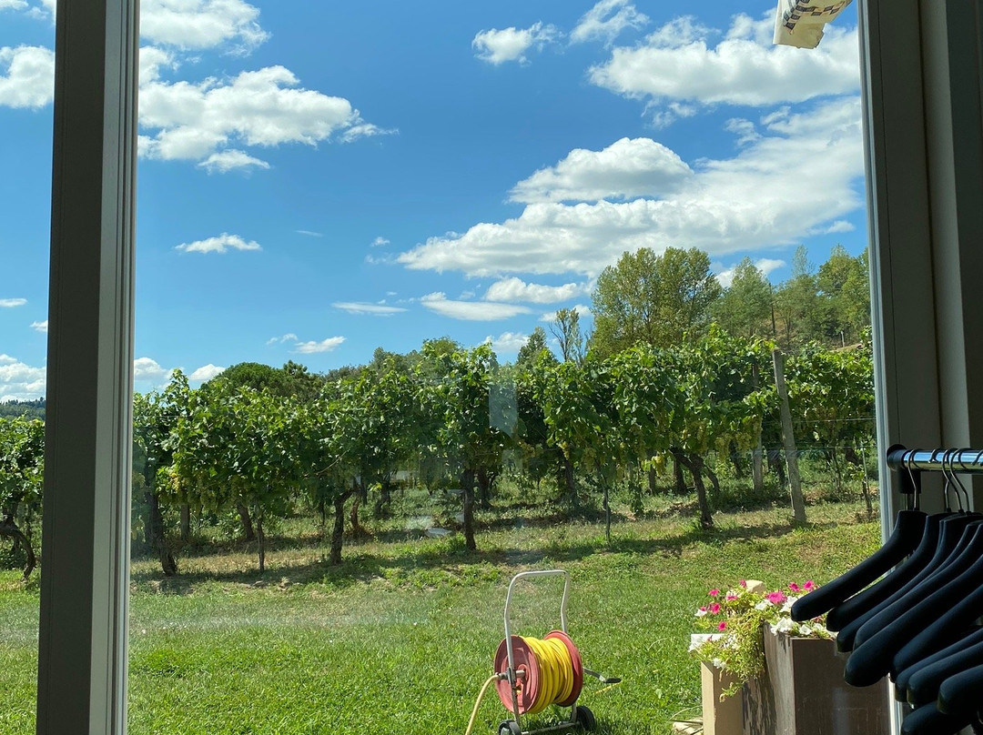 Podere Pellicciano Agrisole-圣米尼亚托必去景点