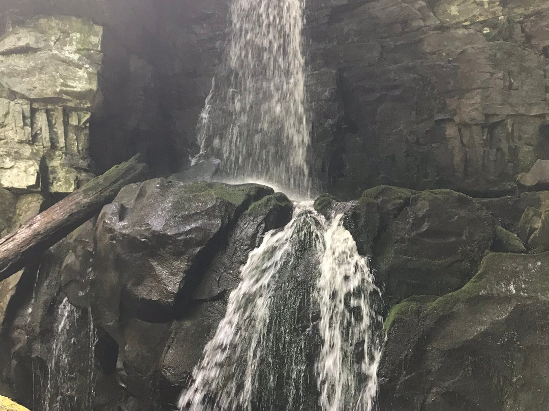 Baskins Creek Falls-大雾山国家公园必去景点