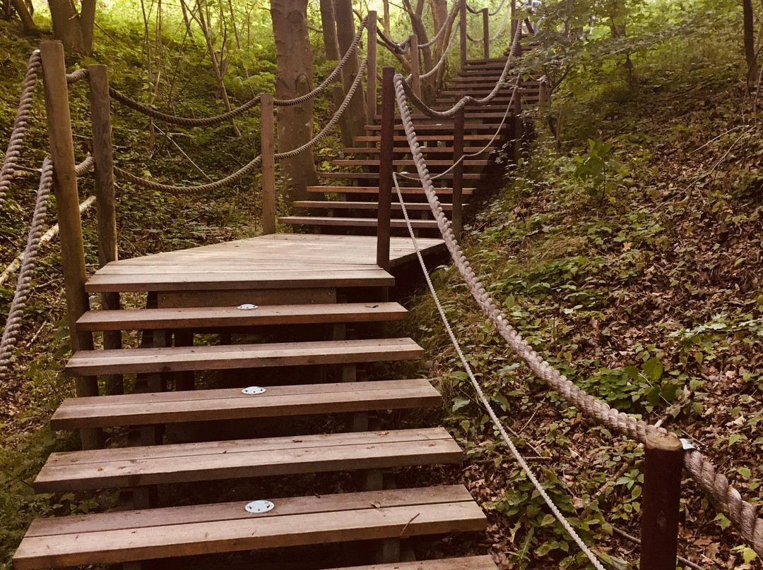 Rosevia Resort & SPA主图