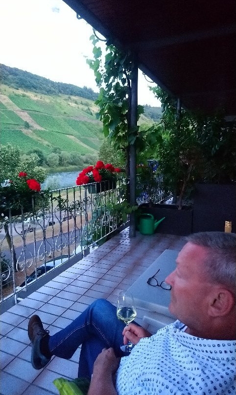 Ferienweingut Haus Karina主图