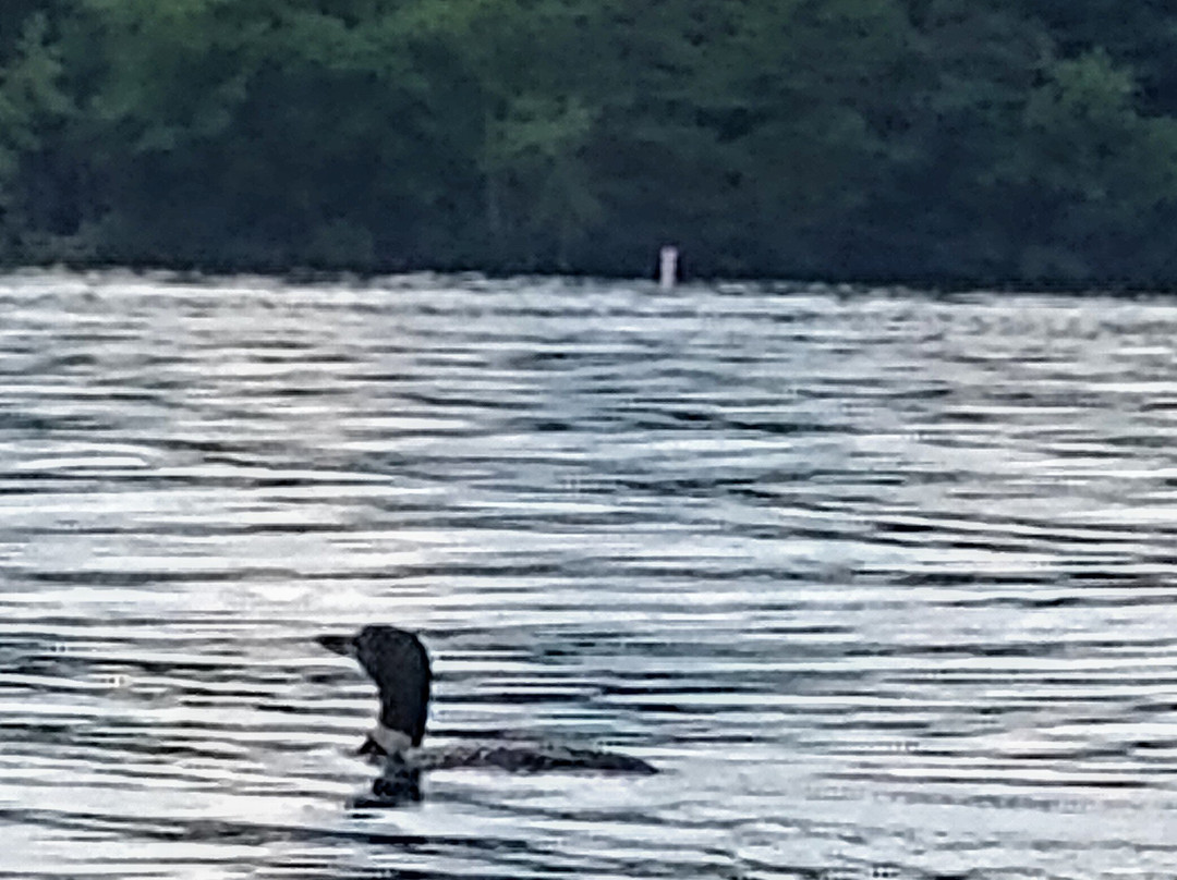 The Lodge at Pleasant Point主图