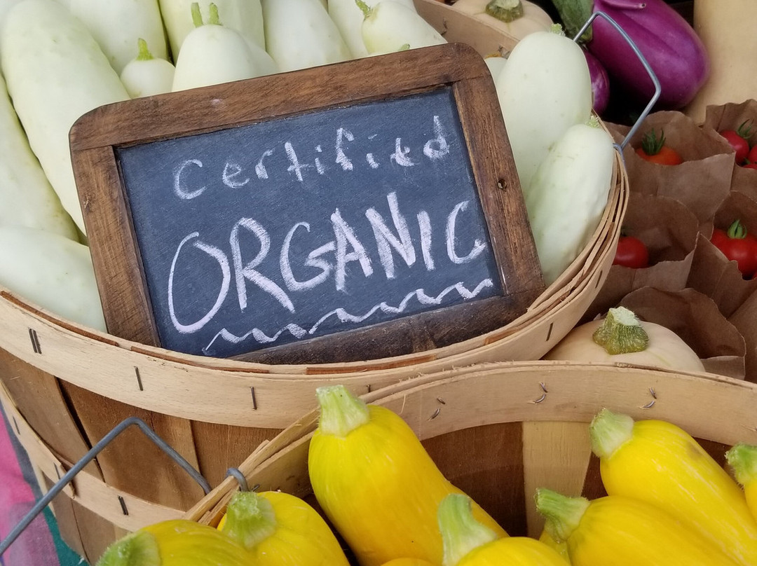 Hamburg Farmers' Market景点图片