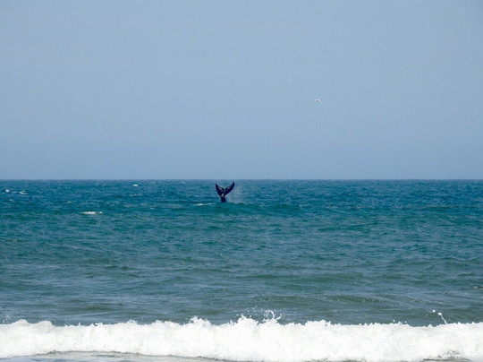 Praia Balneario Figueirinha-Jaguaruna必去景点