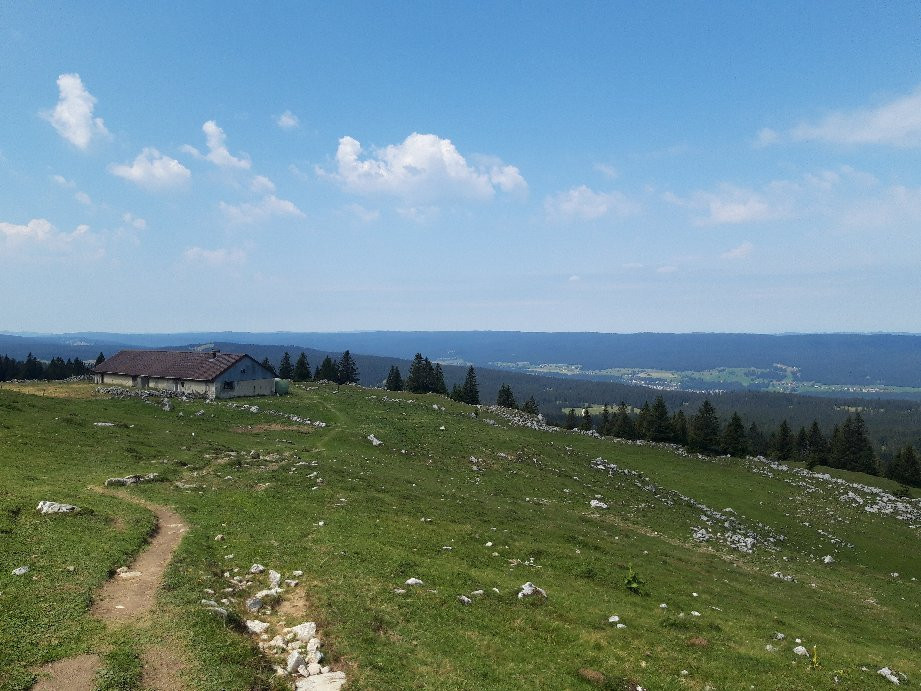 Parc Jura vaudois景点图片