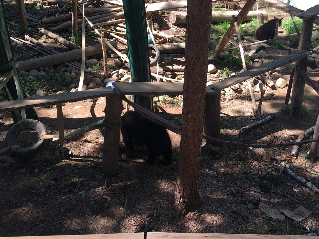 Adirondack Wildlife Refuge-Wilmington必去景点