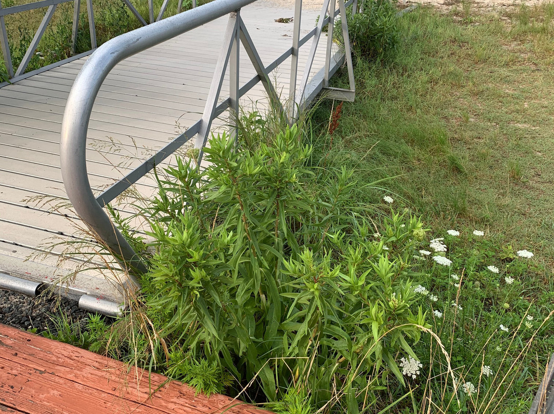 西大西洋城康福特茵旅馆&套房酒店主图