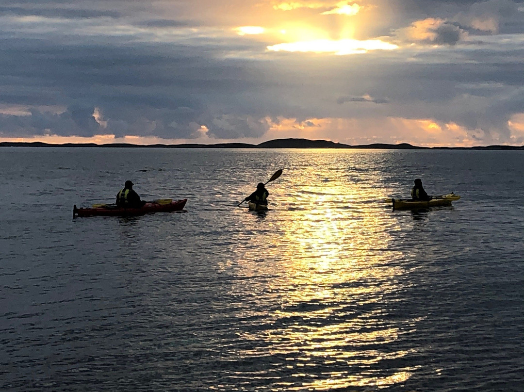 Helgeland Kayak景点图片