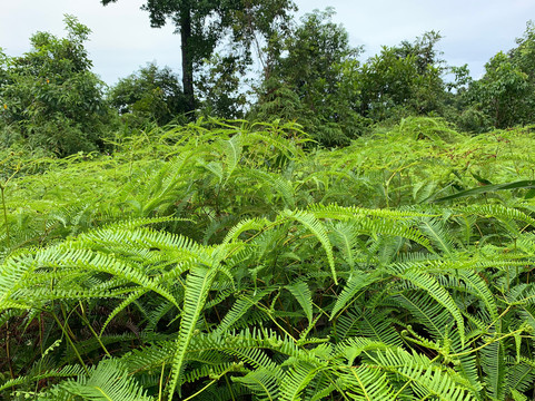 Koh Rong Adventure Club-高龙必去景点