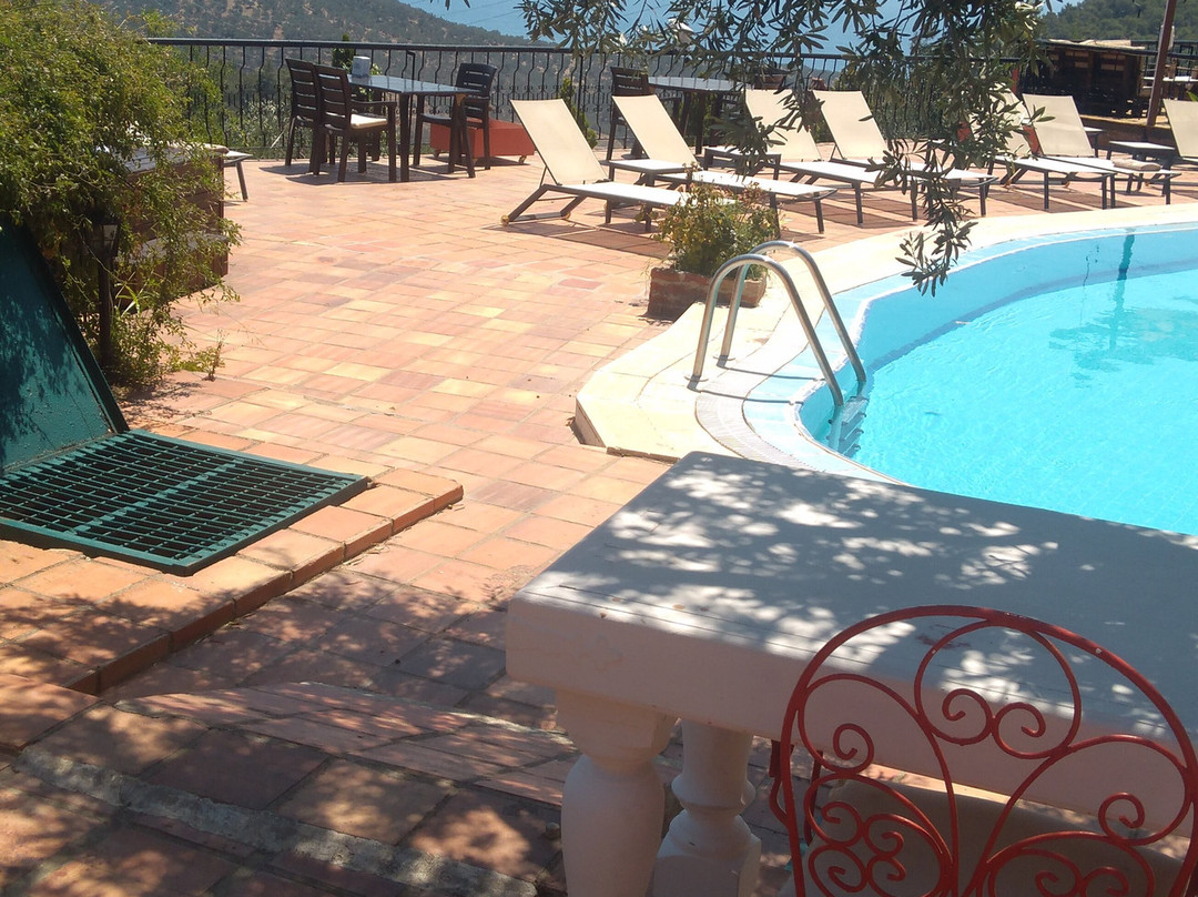 Pinecone Boutique Hotel主图