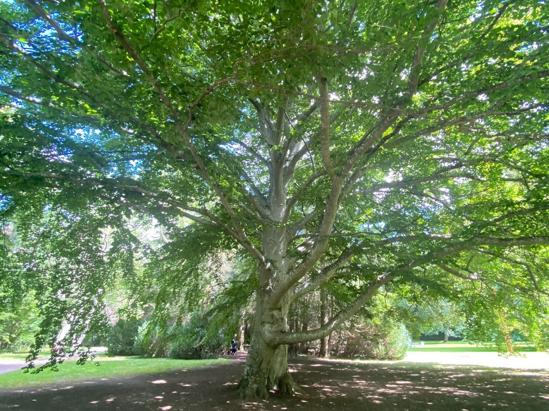 Solliden Park景点图片