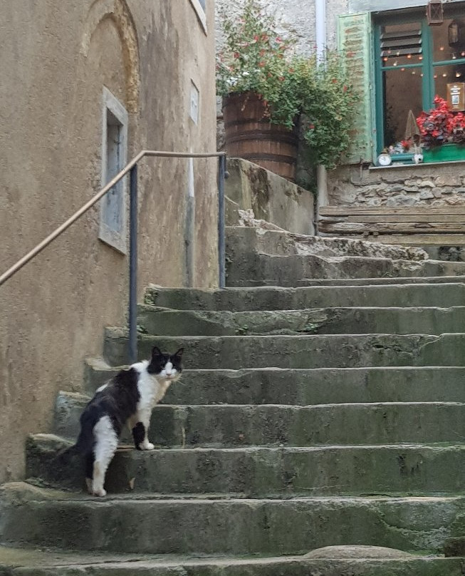 La Maison de Natasha主图