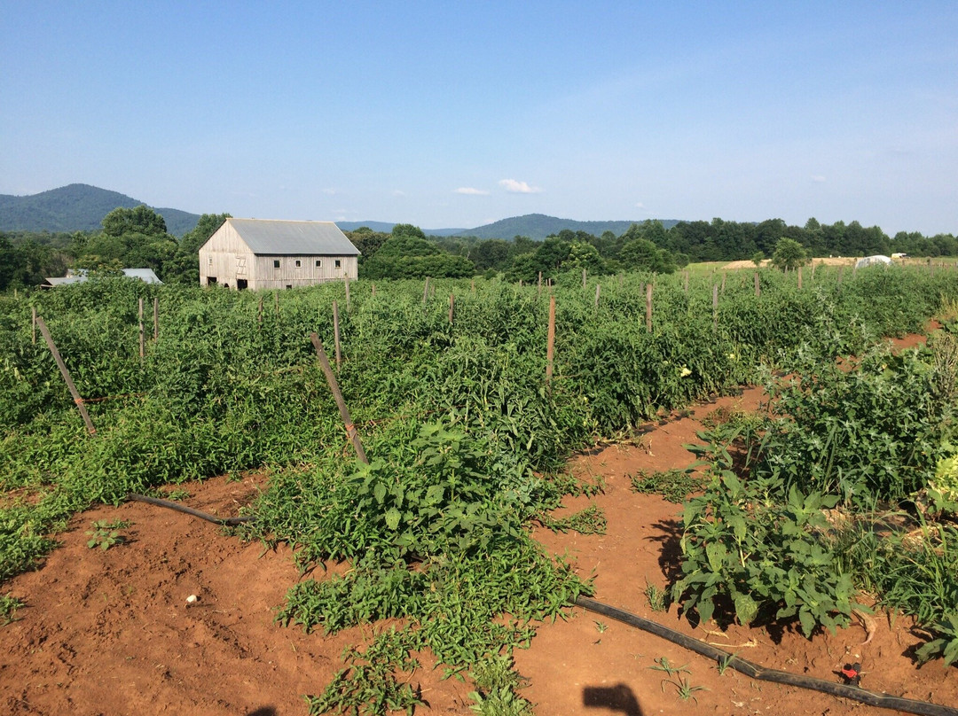 Wood Ridge Farm Brewery-Lovingston必去景点