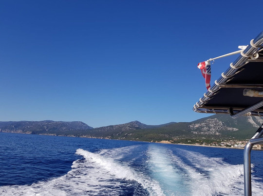 IL DELFINO DIVING ASD-奥尔比亚必去景点