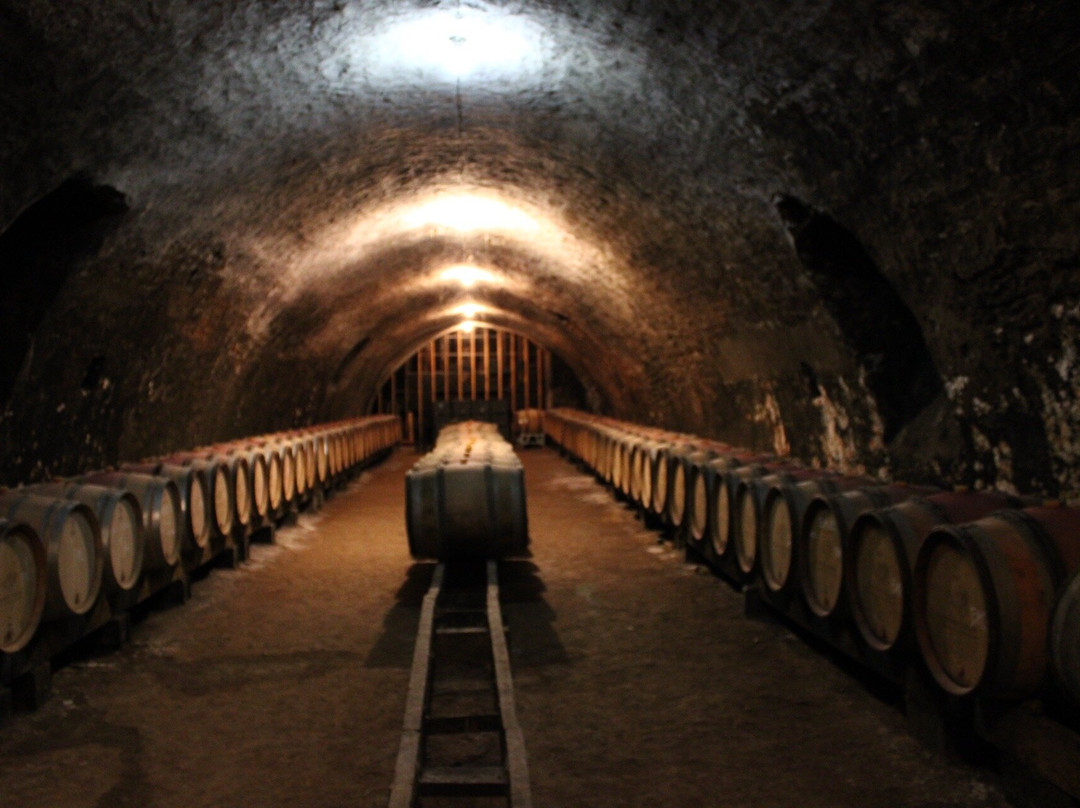Domaine Borgnat主图