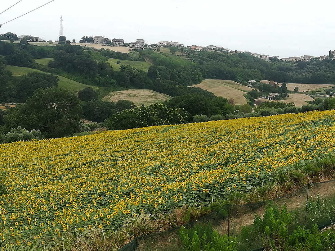 Country House La Sorgente主图