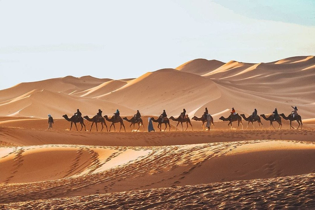 Sunshine Morocco Tours-马拉喀什必去景点