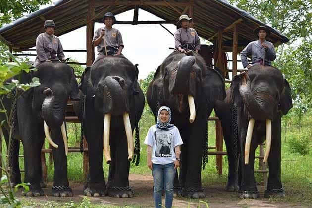 Way Kambas National Park-Lampung必去景点
