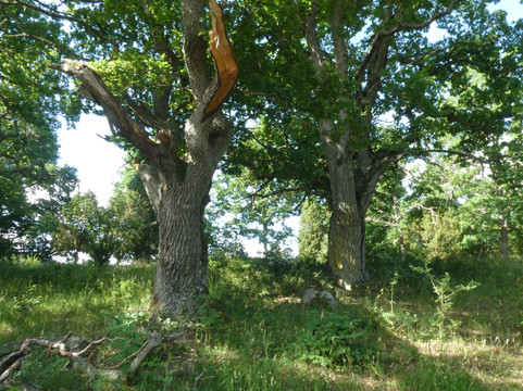 Angso Naturreservat-韦斯特罗斯必去景点