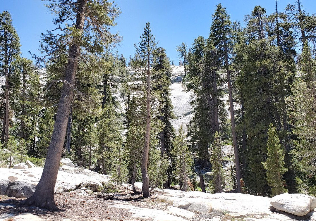 Tioga Road-利韦宁必去景点