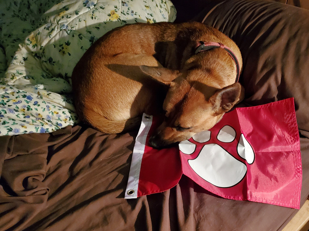 Blue Rock Resort主图