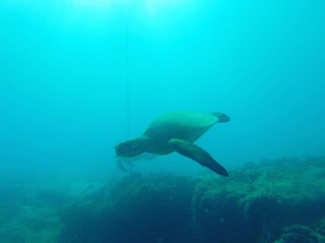 413 Divers-吕康必去景点