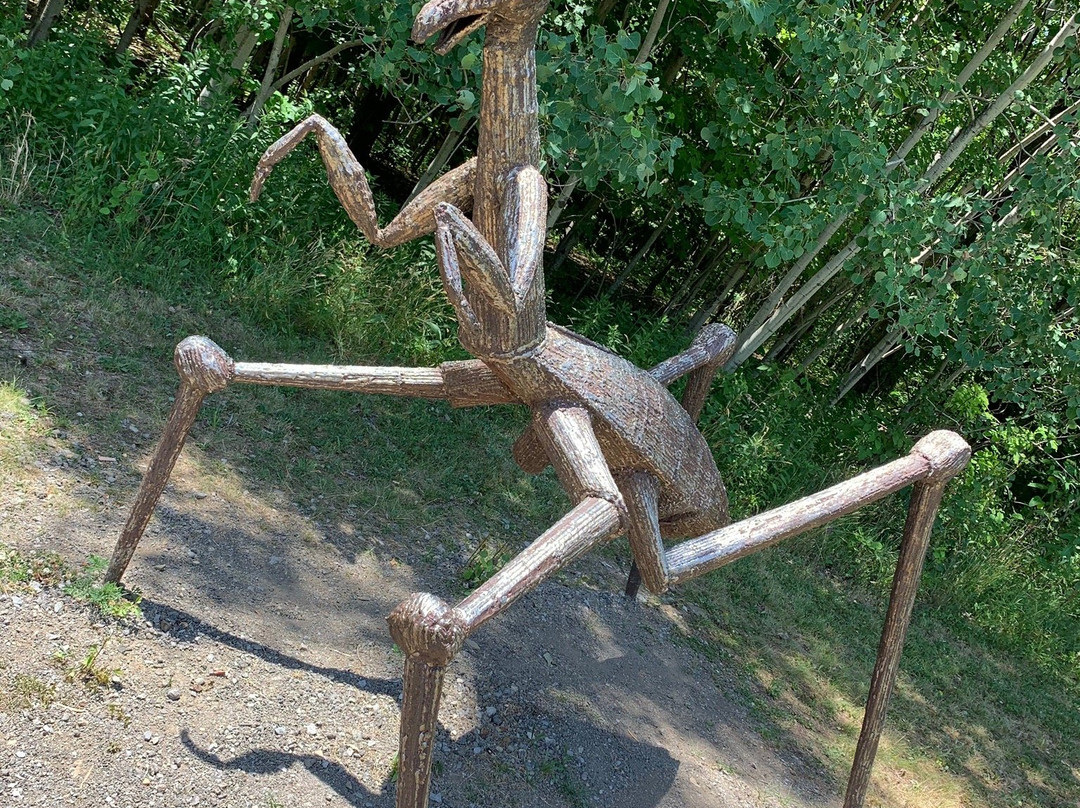 Griffis Sculpture Park-East Otto必去景点