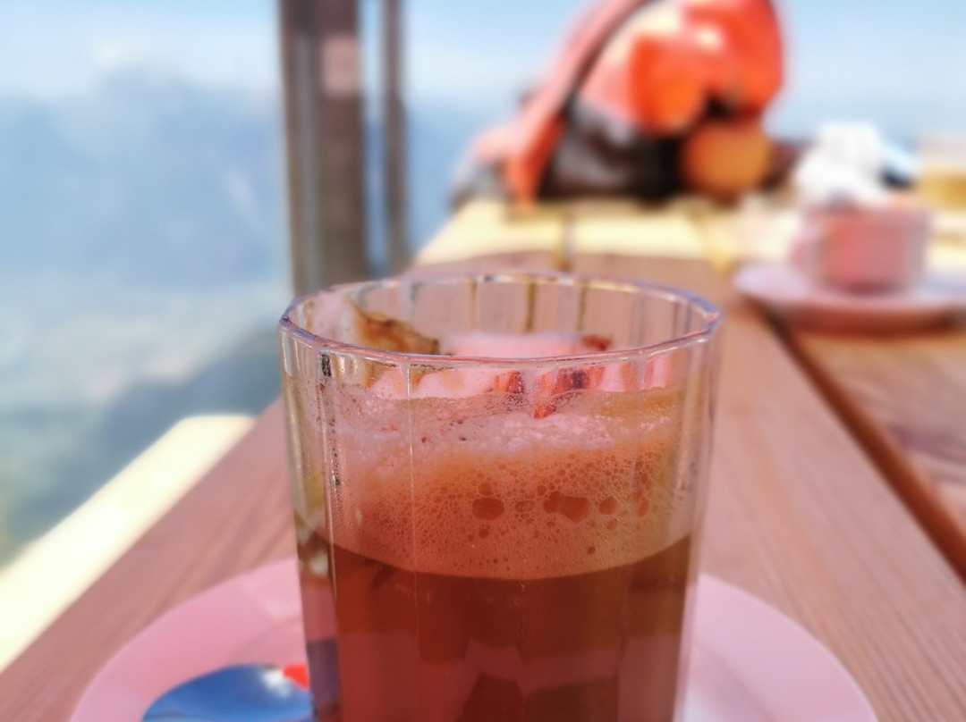 Télécabine Leysin - La Berneuse-莱森必去景点
