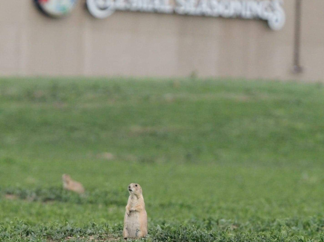 Celestial Seasonings-博尔德必去景点