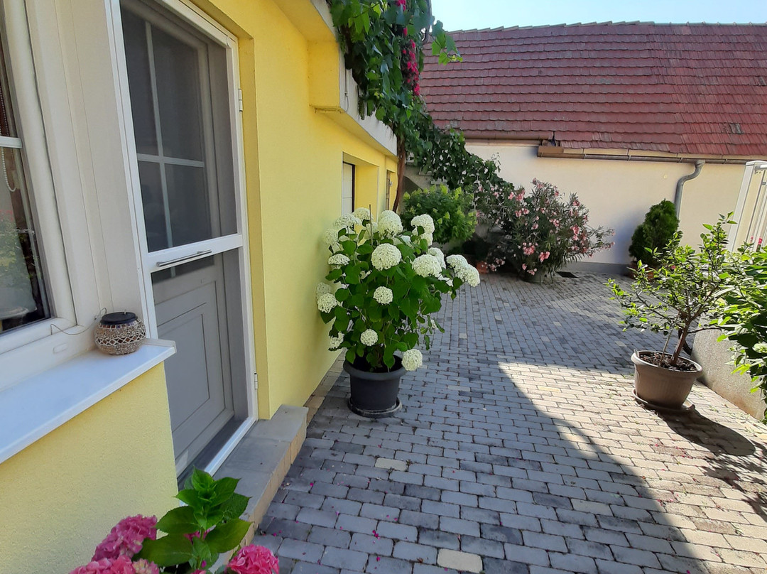 Pension Peterhof主图