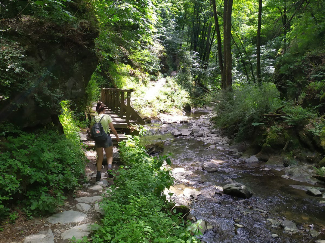 Erlebnisweg Tal der Wilden Endert-科赫姆必去景点