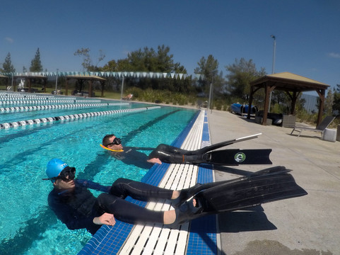 Dive California-圣地亚哥必去景点