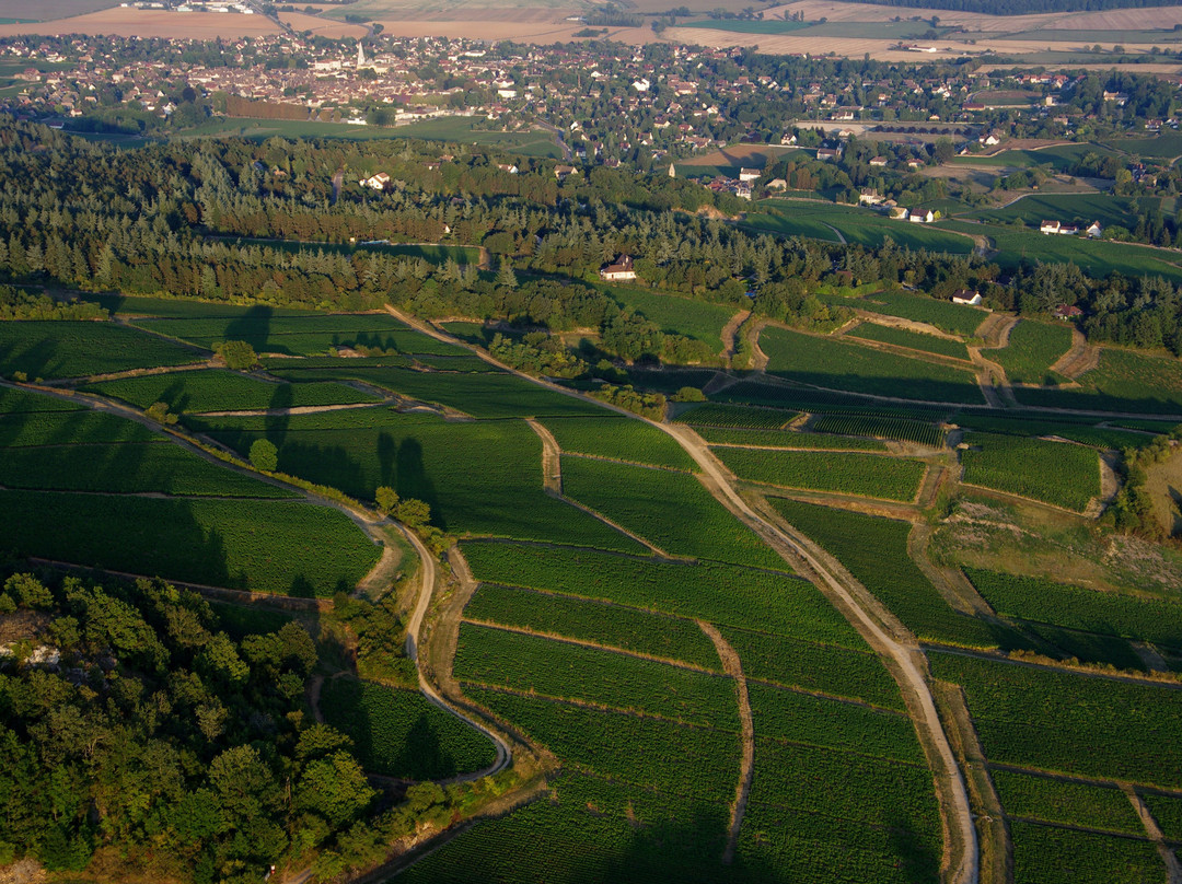 Bourgogne-Montgolfière景点图片