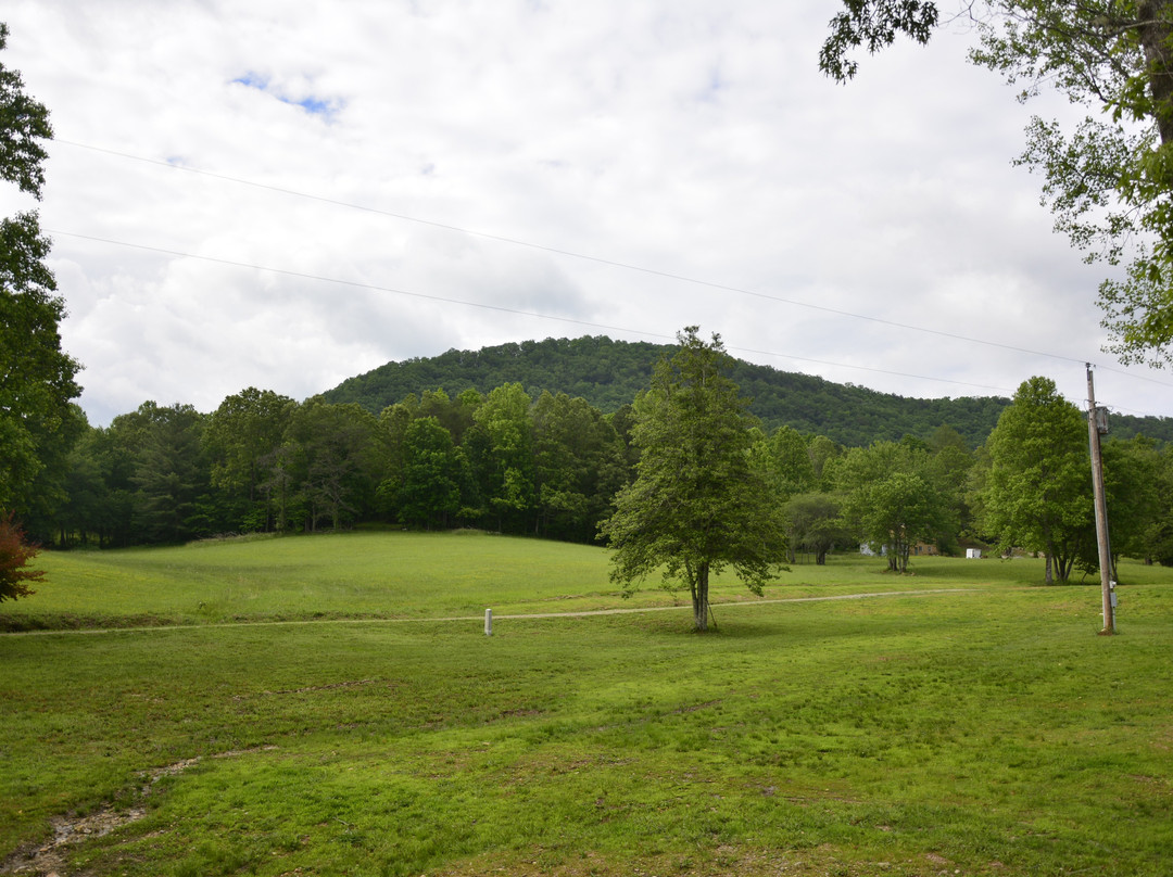 Bald Mountain Creek Farm