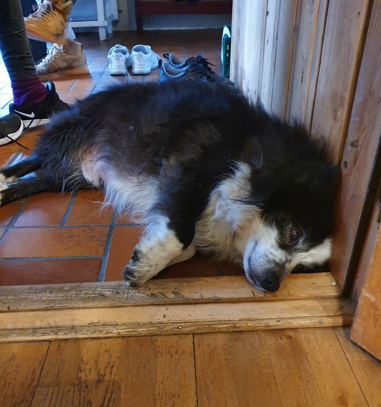 Guesthouse Husid主图