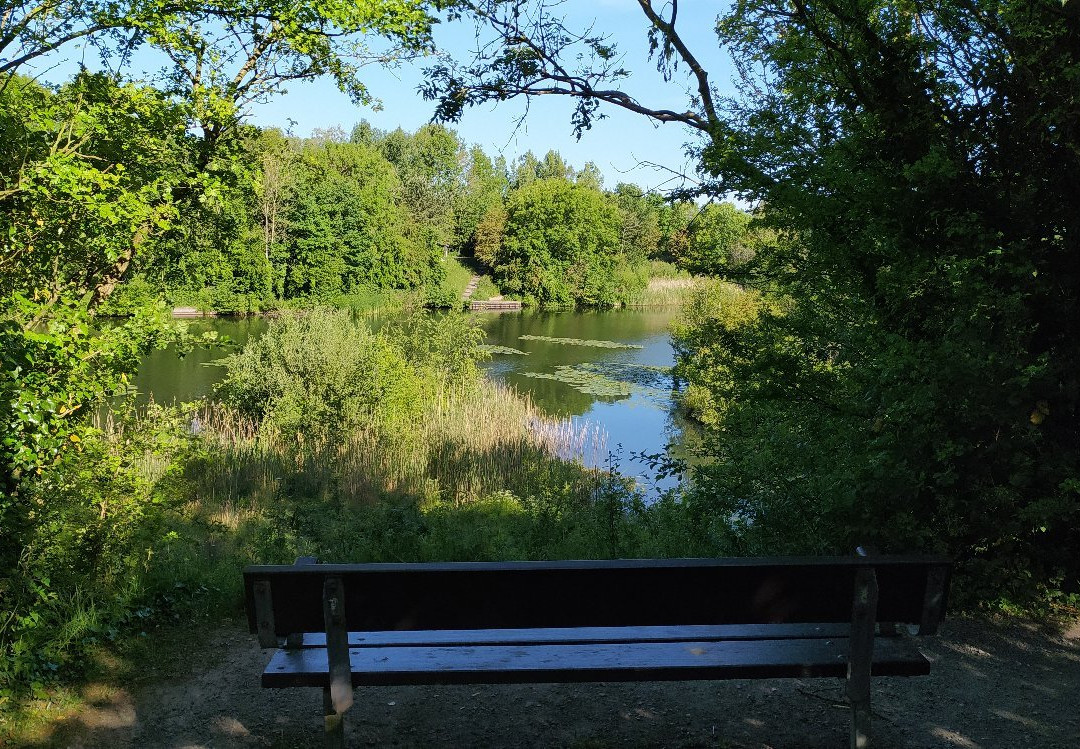 Longton Brickcroft Nature Reserve景点图片