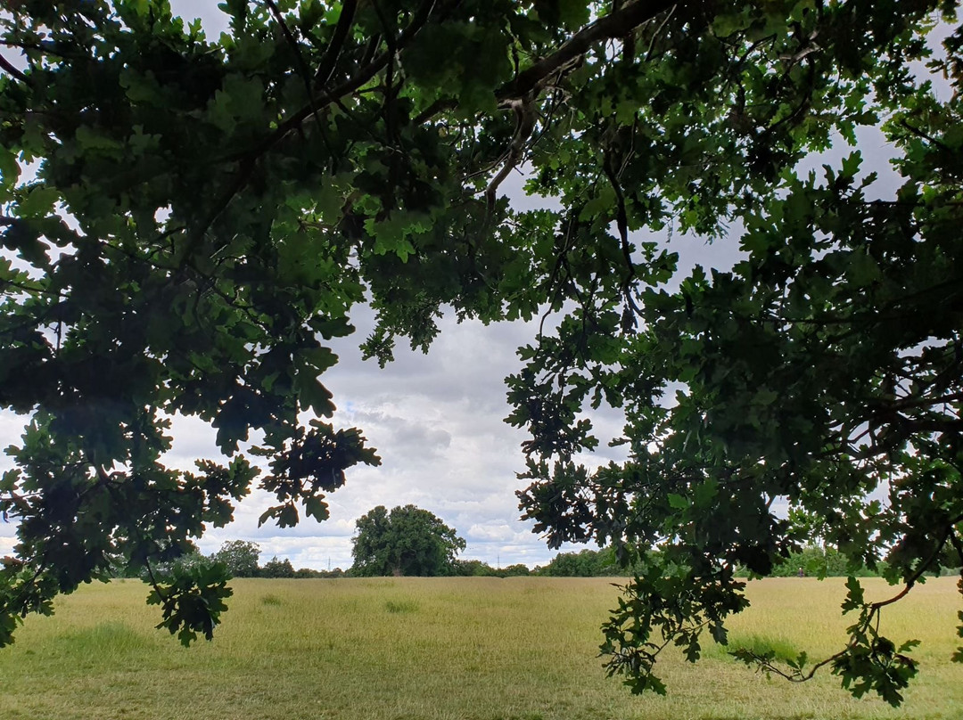 Morden Park景点图片