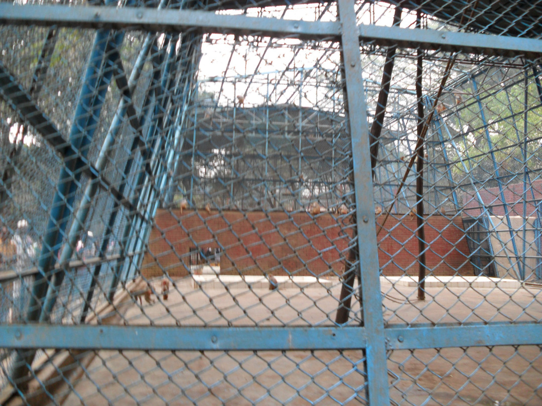 Dhaka Zoo-达卡市必去景点