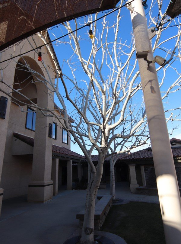 Calvary Chapel High Desert-希斯皮里亚必去景点