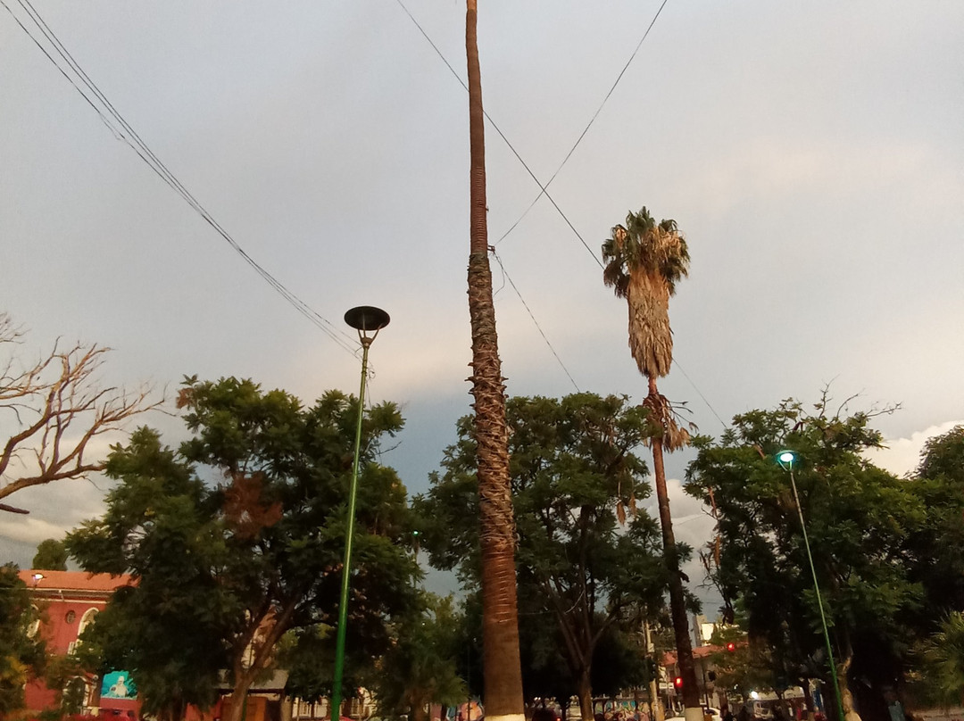 外交官酒店主图