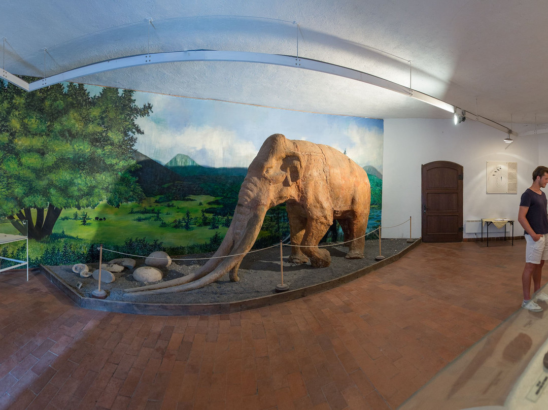 Velenje Museum - Muzej Velenje-Velenje必去景点