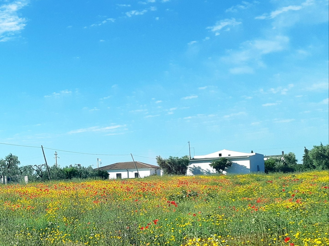 Tinchi旅游攻略图片